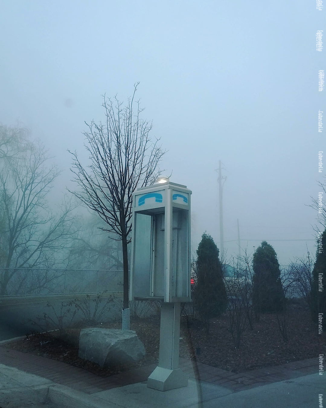 A photo of the housing of a public payphone, just the singular kind on an open stand, on the edge of a public garden, silver metal with blue and white phone symbol at top. There is no phone inside it though. It is empty. A foggy backdrop with some trees in the distance slightly visible.